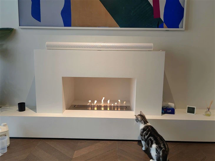 Ethanol Burning Fireplace Inserts